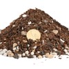 Doter Bonsai Soil Mix Ready to Use (2qt), Premium Fast