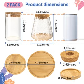 Dormercy 2Pcs Plants Propagation Station, Desktop Glass Planter Terrarium Vase with Wooden Lid&Tray, Plant Lover Gift (Hammer&Plain Glass)