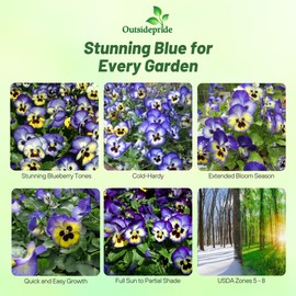 Outsidepride Blue & Yellow Bicolor Blueberry Thrill Viola Pansy Seeds for Planting - 100 Pcs. Cold-Hardy & Pollinator Friendly Flowers with Fragrant Blooms for Garden Bed, Borders & Container Displays
