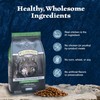Blue Buffalo Wilderness Adult High-Protein Dry Dog Food with Real
