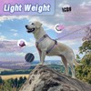 Dog Harness Leash Set, No Pull Adjustable Halter Cute Comfort