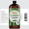 Artizen Eucalyptus Oil Bulk 16oz - Natural Scent for Candles,