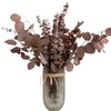 Dried Flower Mix,17 Eucalyptus Leaf + 8 Silver Dollar Leaf