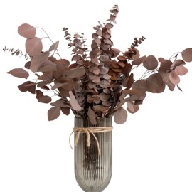 Dried Flower Mix,17 Eucalyptus Leaf + 8 Silver Dollar Leaf , Real Natural Plant, for Wedding, Home Decor, DIY, Total of 25 Pieces (Brown)