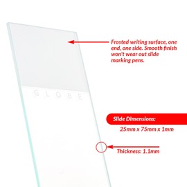Globe Scientific 1304 Glass Microscope Slide, Soda Lime Glass, 25mm Width x 75mm Length, 90 Degree Ground Edges, Frosted Case of 1440