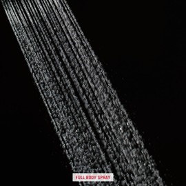 Delta Faucet Single-Spray Touch-Clean Shower Head, Stainless RP51305SS