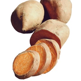 Beauregard Seed Sweet Potatoes Non GMO for Planting or Cooking, New Crop (1 lb)