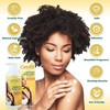 CAROTÏS, Skin Brightening Lotion - 13.5 Fl oz / 400ml