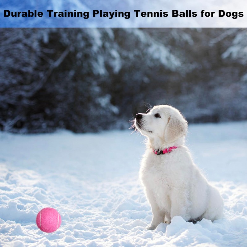 HPWFHPLF Tennis Balls, 12 Packs Practice Tennis Balls for Beginner,