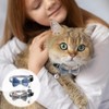 2Pcs Cat Collar Breakaway Bowtie with Bells, Blue and White
