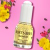 Burt's Bees Gua Sha Face Oil With Rosehip Seed Extract,
