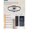 LEDIARY 20 Inch Low Profile Ceiling Fans with Lights and