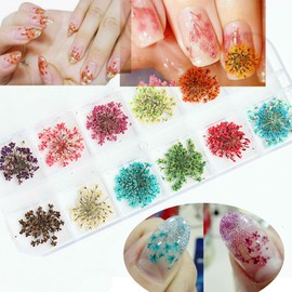 AKOAK12 Colors Natural Real Dry Flower Sticker Decals 3D Nail Art Decorations Kits Flower Nail Supplies