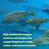Wild Caught Cod Liver Oil 2,000mg Per Serving, 240 Softgels