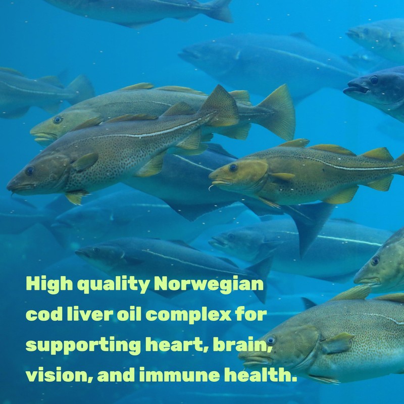 Wild Caught Cod Liver Oil 2,000mg Per Serving, 240 Softgels