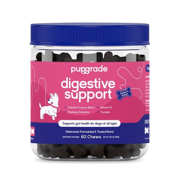 PupGrade Digestive Support Chews for Dogs - Prebiotic and Probiotic Supplement with Enzyme Blend - Upset Stomach, Diarrhea, Bowel, and Immune Support - Pumpkin, Blueberry, Mineral Oil - 60 Soft Chews