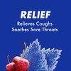 HALLS Relief Variety Pack, Cherry and Mentho-Lyptus Cough Drops, 2