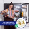 Start Relay to Protect Motor Compressor of Fridge with the