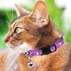 YSJCHEBS Pack of 2 Star Moon Cat Collars and 2
