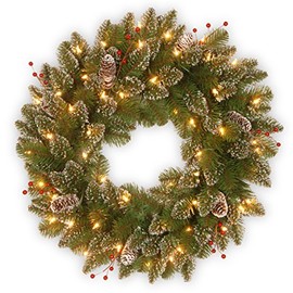 National Tree 24 Inch Glittery Mountain Spruce Wreath with White Tipped Cones, Red Berries and 50 Battery Operated Warm White LED Lights with Timer (GLM1-300-24W-B1)