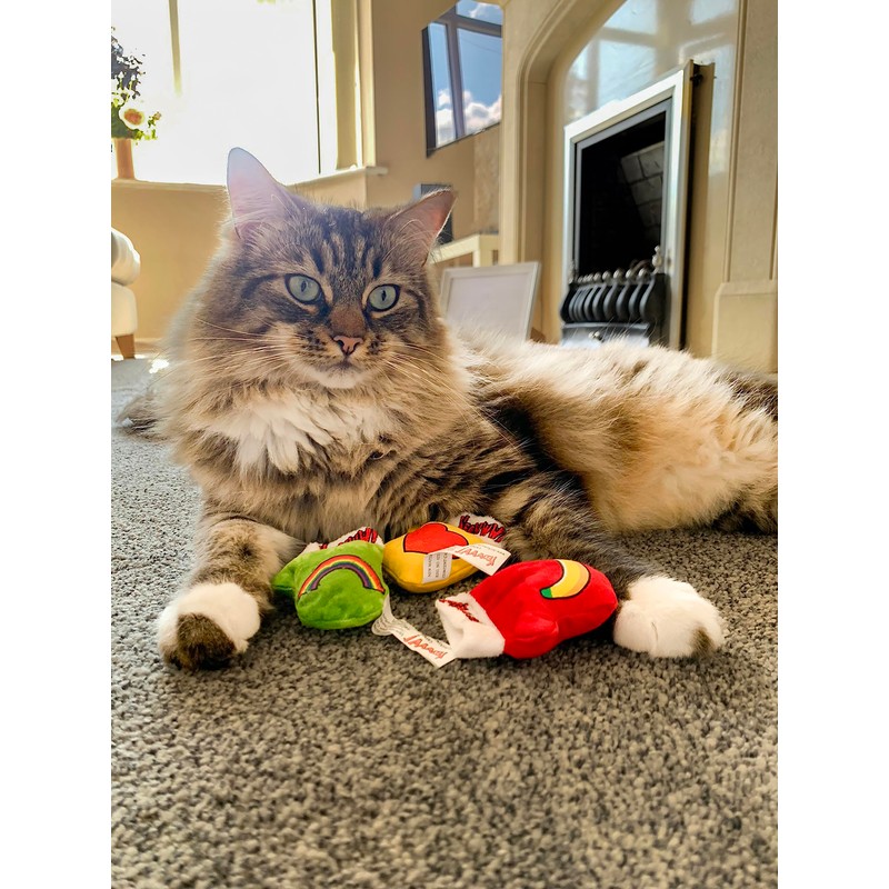 Yeowww! Catnip Kitten Mittens, 1 Count