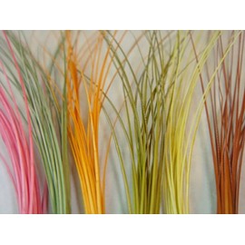 Hareline Quill Body Sulphur Orange