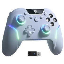 EasySMX X20 Game Controller - RGB Backlit, Dual Mechanical Triggers, 2-Stage Hall Stick, 1000Hz Polling Rate, 6-Axis Gyro on PC and Switch, Multi-Platform Compatible