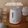 Frida Baby 3-in-1 XL Top Fill Humidifier for Bedroom, Allergy