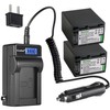 Kastar 2-Pack NP-FV100 Battery and LCD AC Charger Compatible with