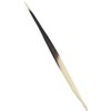 10Pcs Porcupine Quills Hair Stick Indian Crafts Accessories Fishing Buoy