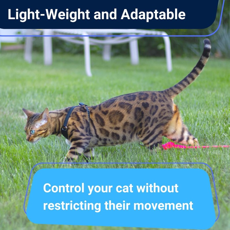 Houdini™ Escape Proof Cat Harness and Leash Set by OutdoorBengal