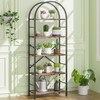 Shintenchi Bookshelf, Arched Bookshelf 5 Tier Bookcase, Tall Bookcase Shelf