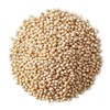 Food to Live Organic Great Plains White Sorghum Grain, 1