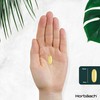 Horb?ach MCT Oil Capsules 3600mg | C8 & C10 |