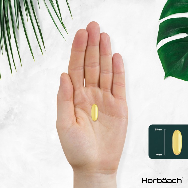 Horb?ach MCT Oil Capsules 3600mg | C8 & C10 |