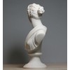 greekartshop Greco-Roman Goddess Artemis Diana Bust Head Cast Marble Statue