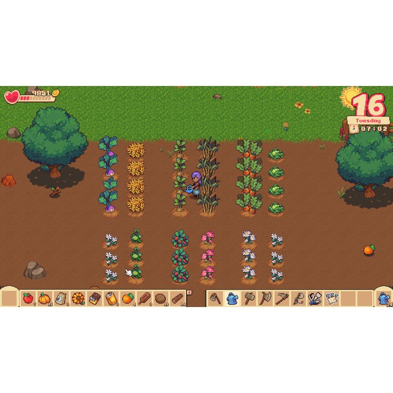 Orange Season (輸入版:北米) – Switch