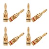 SAMCOS Banana Plugs Screw-in for Solderless Speaker Cables 24K Gold