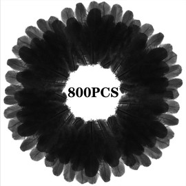 800Pcs Black Rooster Feathers 3-5-inch Bulk Feathers for Crafting Kindergarten DIY Crafts, Wedding, Family Party Decorations, Dream Catcher Supplies, Natural Feathers