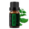 GREENSLEEVES Essential Oil - 10ml (Tea Tree)