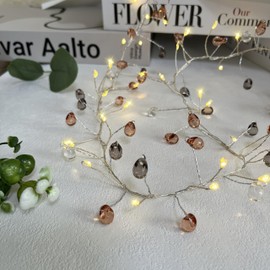Codear Fairy Lights Firecracker String Lights with Acrylic Jewels,6.6ft 100 LED Battery Operated Bohemia Style Firefly Starry Light with Remote Timer Decor for DIY Crafts Wreath Wedding Table Bedroom