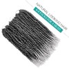 Silike 18 Inch Passion Twist Crochet Braid Synthetic Hair Extension
