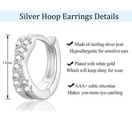 Sterling Silver Hoop Earrings for Women Girls, Small Sleeper Cartilage Hoop Earrings with Cubic Zirconia, Hypoallergenic Hinged Silver Hoops Earrings Jewellery Gifts
