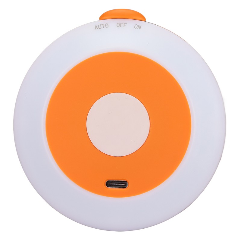 Motion Sensor Night Light Coccinella Septempunctata LED Night Light for