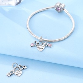 NARMO 925 Sterling Silver Dangle Charms for Mother's Day Family Charms for Bracelets