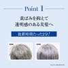 Arganese Gray Hair Treatment, Elegant Gray, For Gray Hair, 5.6