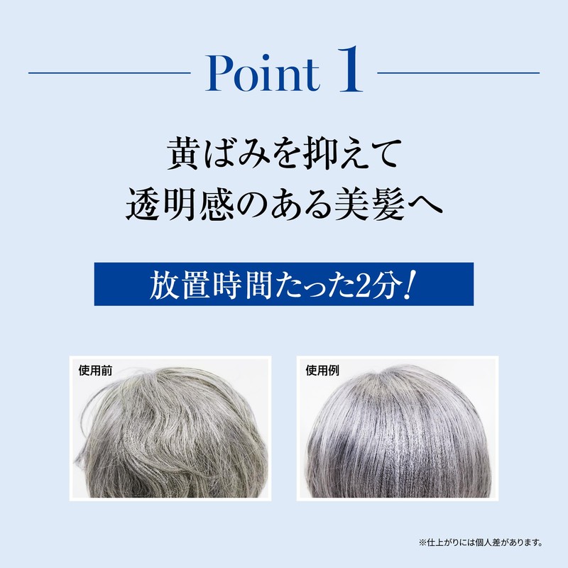 Arganese Gray Hair Treatment, Elegant Gray, For Gray Hair, 5.6