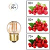 Lxcom Lighting Dimmable 1W G40/G14 Edison LED Filament Globe Light