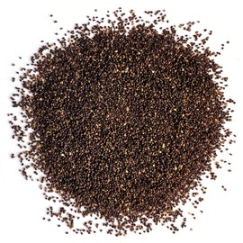 The Old Farmer's Almanac The Old Farmer's Almanac Poppy Seeds (American Legion) - Approx 5000 Flower Seeds - Premium Non-GMO, Open Pollinated, USA Origin