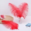 Ballinger Red Ostrich Feathers Bulk - 24Pcs 8-10inch Feathers for